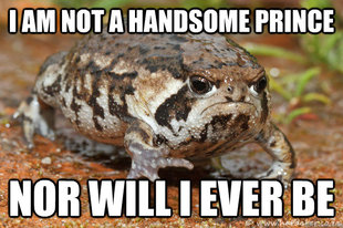 grumpy toad