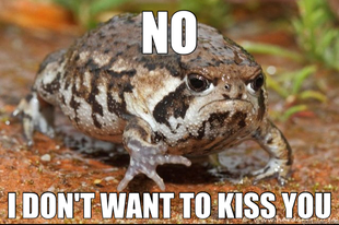 grumpy toad