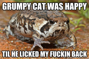 grumpy toad