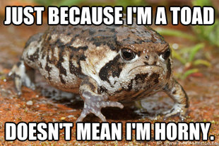grumpy toad