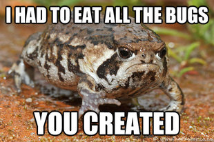 grumpy toad