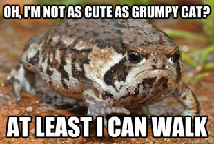 Grumpy Toad