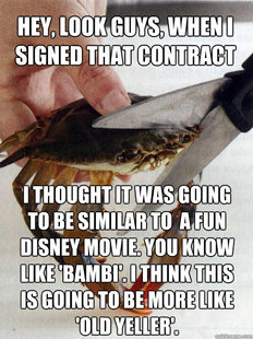 Optimistic Crab