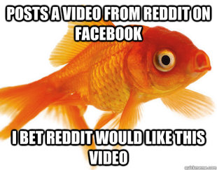 Forgetful Fish