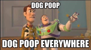 buzz and woody