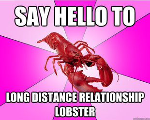 Long-term relationship Lobster