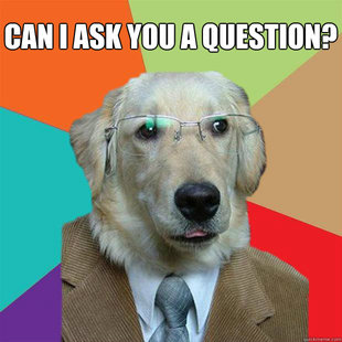 Business Dog