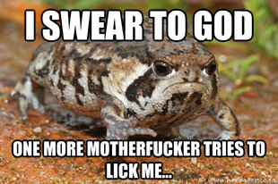 grumpy toad