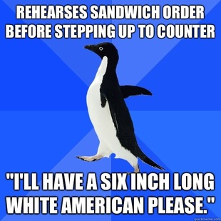 Socially Awkward Penguin