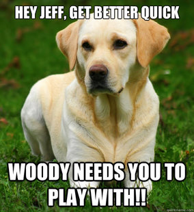 Dog Logic