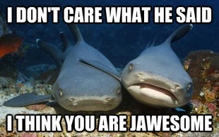 Compassionate Shark Friend