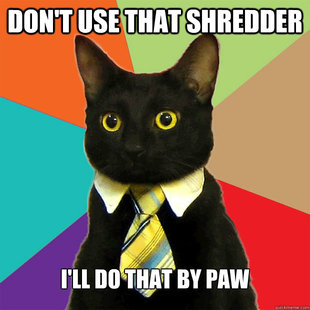 Business Cat