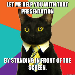 Business Cat