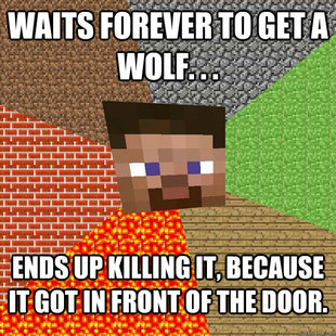 Minecraft