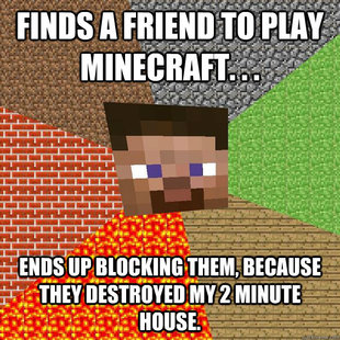 Minecraft