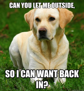 Dog Logic
