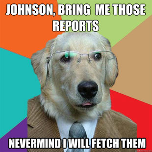 Business Dog