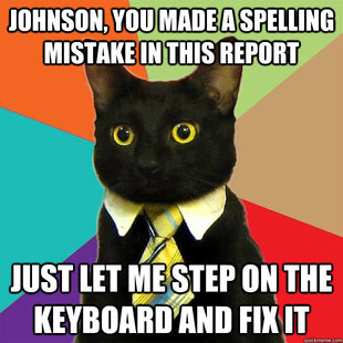 business cat