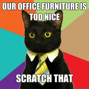 Business Cat