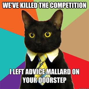 Business Cat