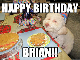 Stoned Birthday Dog