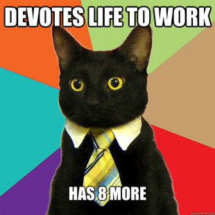 Business Cat