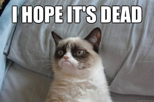 GrumpyCatOL