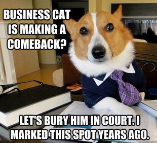 Lawyer Dog