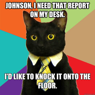 Business Cat