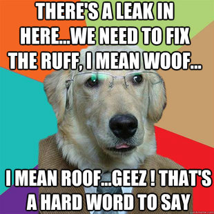 Business Dog