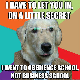 Business Dog