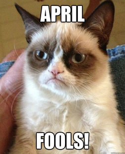 Grumpy cat