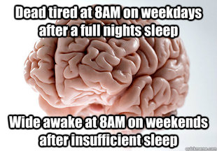 Scumbag Brain