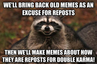 Evil Plotting Raccoon