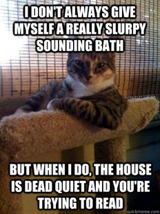 The Most Interesting Cat in the World