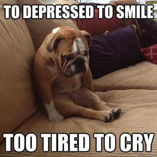depressed dog