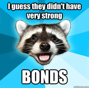 Lame Pun Coon