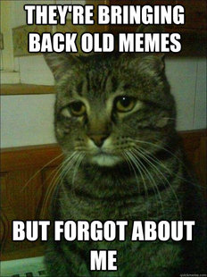 Depressed cat