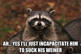 Evil Plotting Raccoon