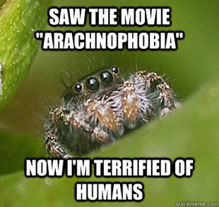 Misunderstood Spider