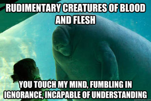 Overlord Manatee
