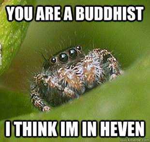Misunderstood Spider