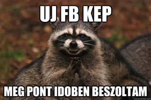 Evil Plotting Raccoon