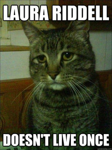 Depressed cat