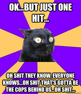 Anxiety Cat