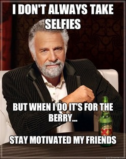 The Most Interesting Man In The World