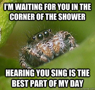 Misunderstood Spider
