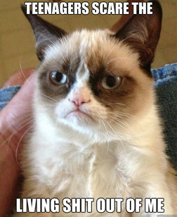 Grumpy Cat