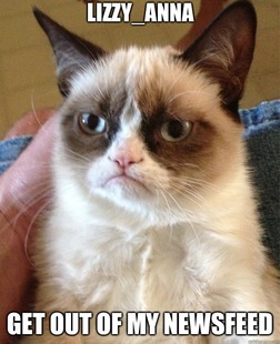 Grumpy Cat