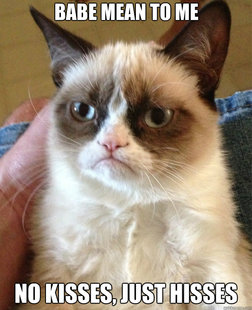 Grumpy Cat
